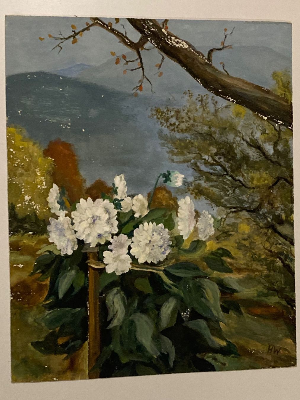 Dipinti: H.W. Landschaftsgemälde monogrammiert mit Blumen, Baum Berge – Usato da Hirzel venduto da pjn_d7xp