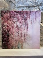 Lumas - mystic forest CHRISTIANE STEINICKE