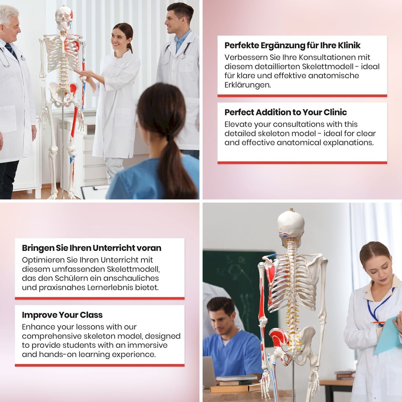 Kit di modellismo & Modellini statici: Menschliches Anatomie Skelett 181 cm – Nuovo e nell'imballaggio originale da Bottighofen venduto da zaap 4