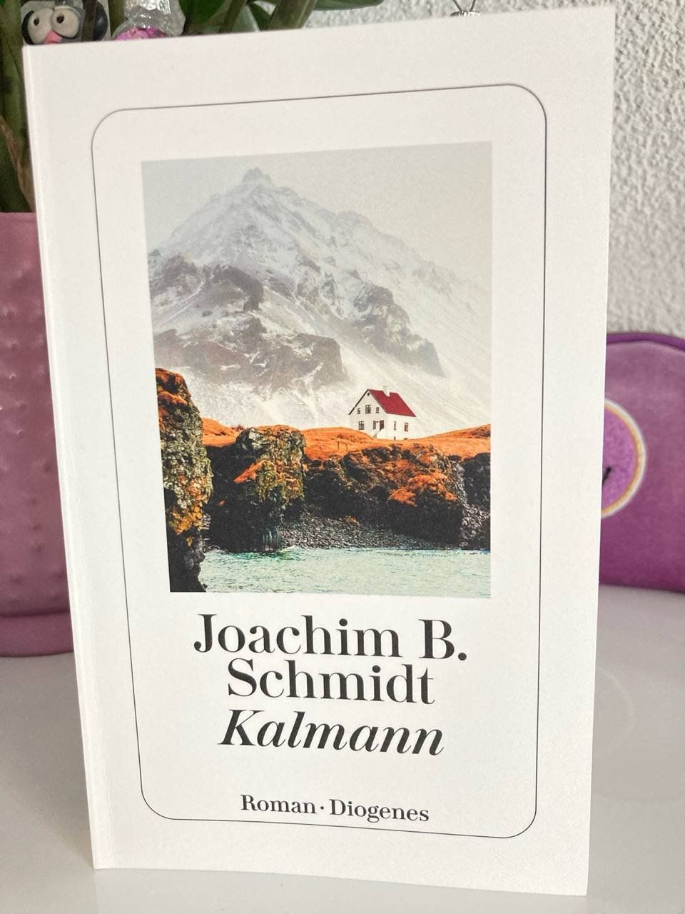 Livres: Kalmann – Joachim B. Schmidt NEU – Neuf (Voir description) à Frauenfeld par SCHATZtruhe369