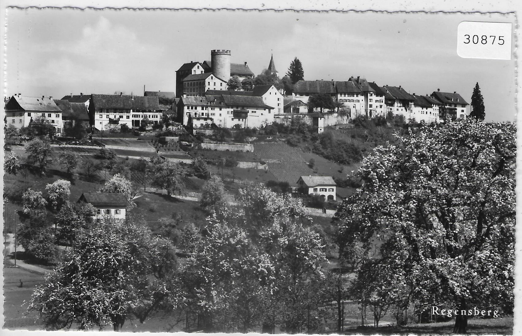 Cartoline postali: Regensberg - Generalansicht – Usato da Ettingen venduto da Kartenplanet