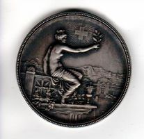 Schützenmedaille Eidg. Schützenfest Winterthur 1895