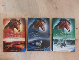 Die Spur der Donnerhufe, Buchreihe 1 - 3