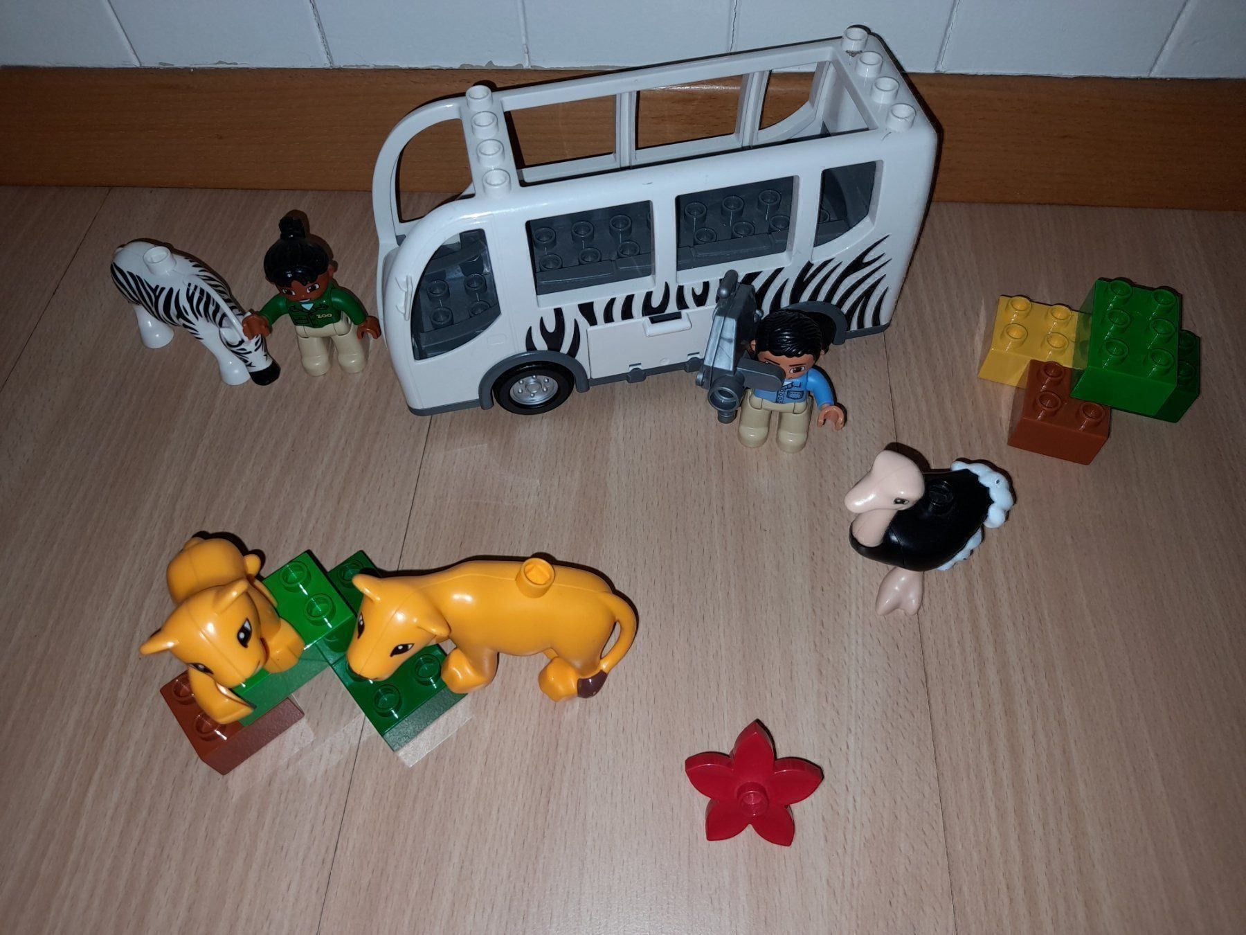 Lego Giocattoli: Lego Duplo Safari Bus 10502 – Usato da Wittenbach venduto da Gugielmo 3