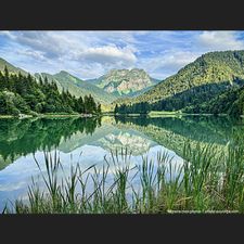 Profile image of Alla_1723