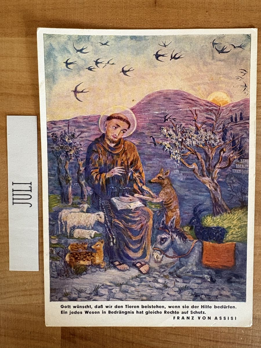 Cartoline postali: AK mit Bild von Michael Durach / Tierschutz – Usato da Rümlang venduto da Kartenpost1