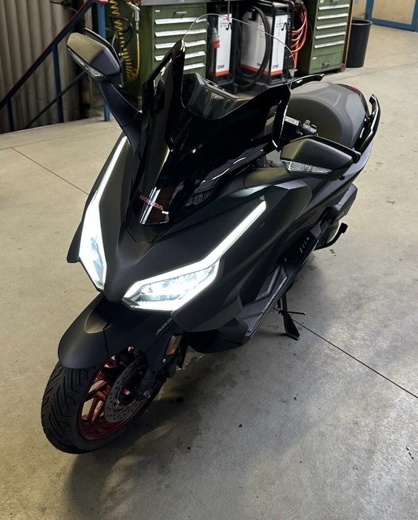 Honda Scooter: Honda Forza 125 Special Edition – Usato da Zürich venduto da Perowe 1