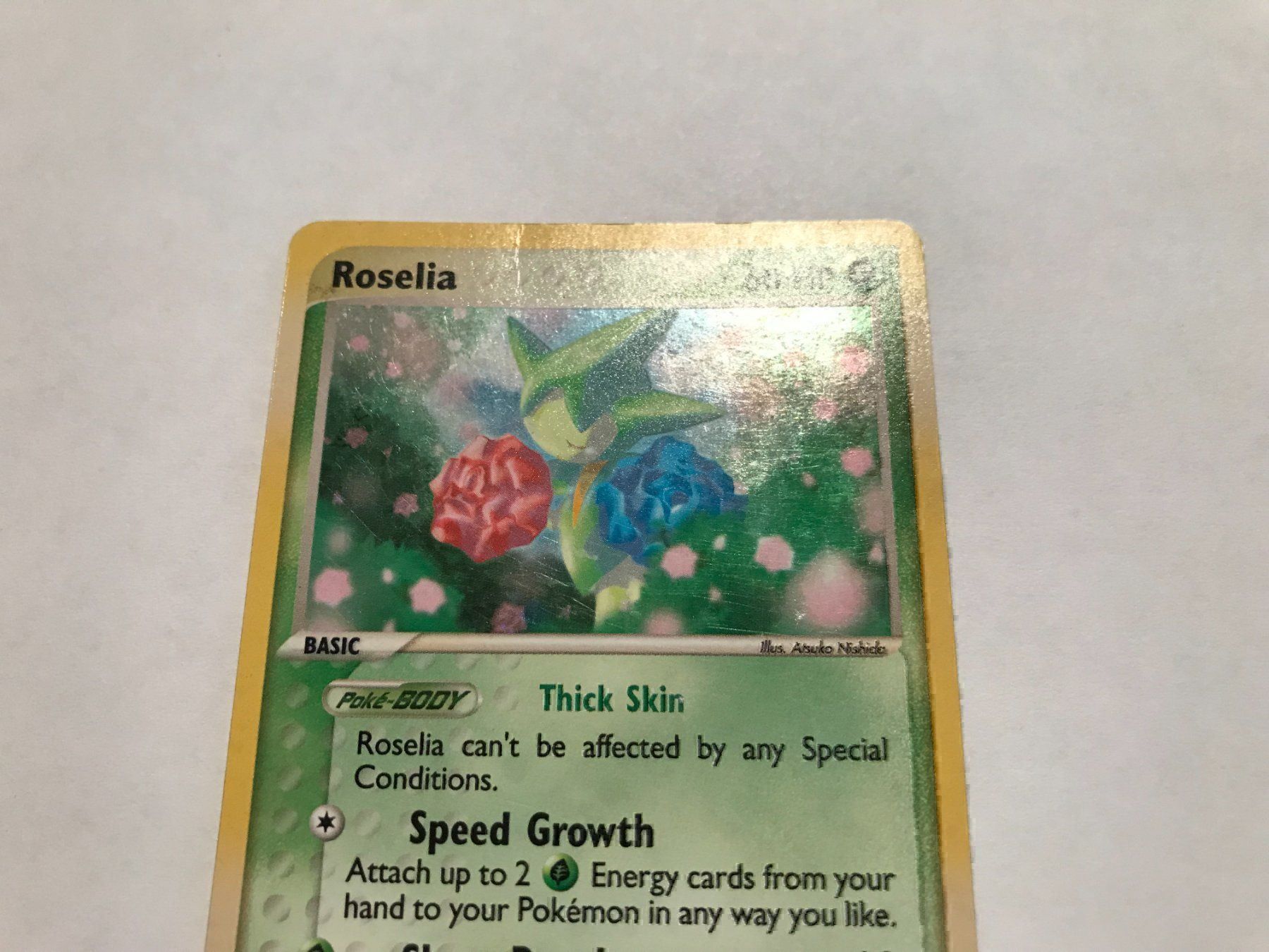 Pokémon Carte collezionabili: Roselia holo Ex Dragon – Usato da Hagendorn venduto da Pokecollectorch 2