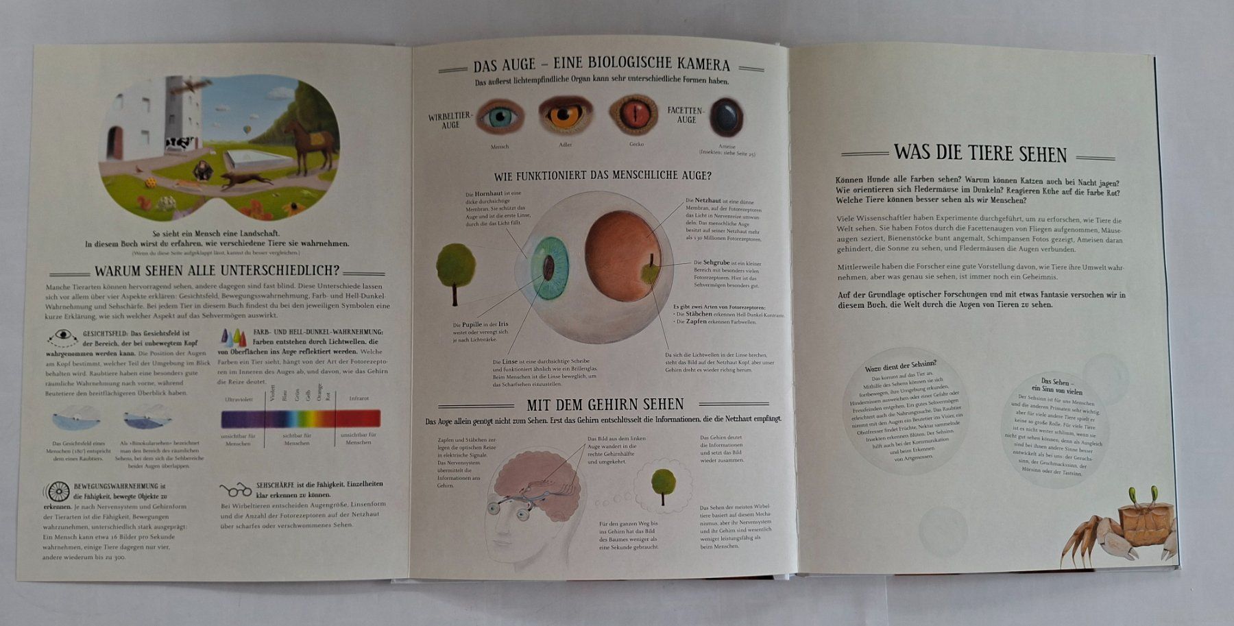Libri: Kinderbuch: Was sieht eigentlich der Regenwurm? Top! – Usato da Opfikon venduto da Diversamente 3