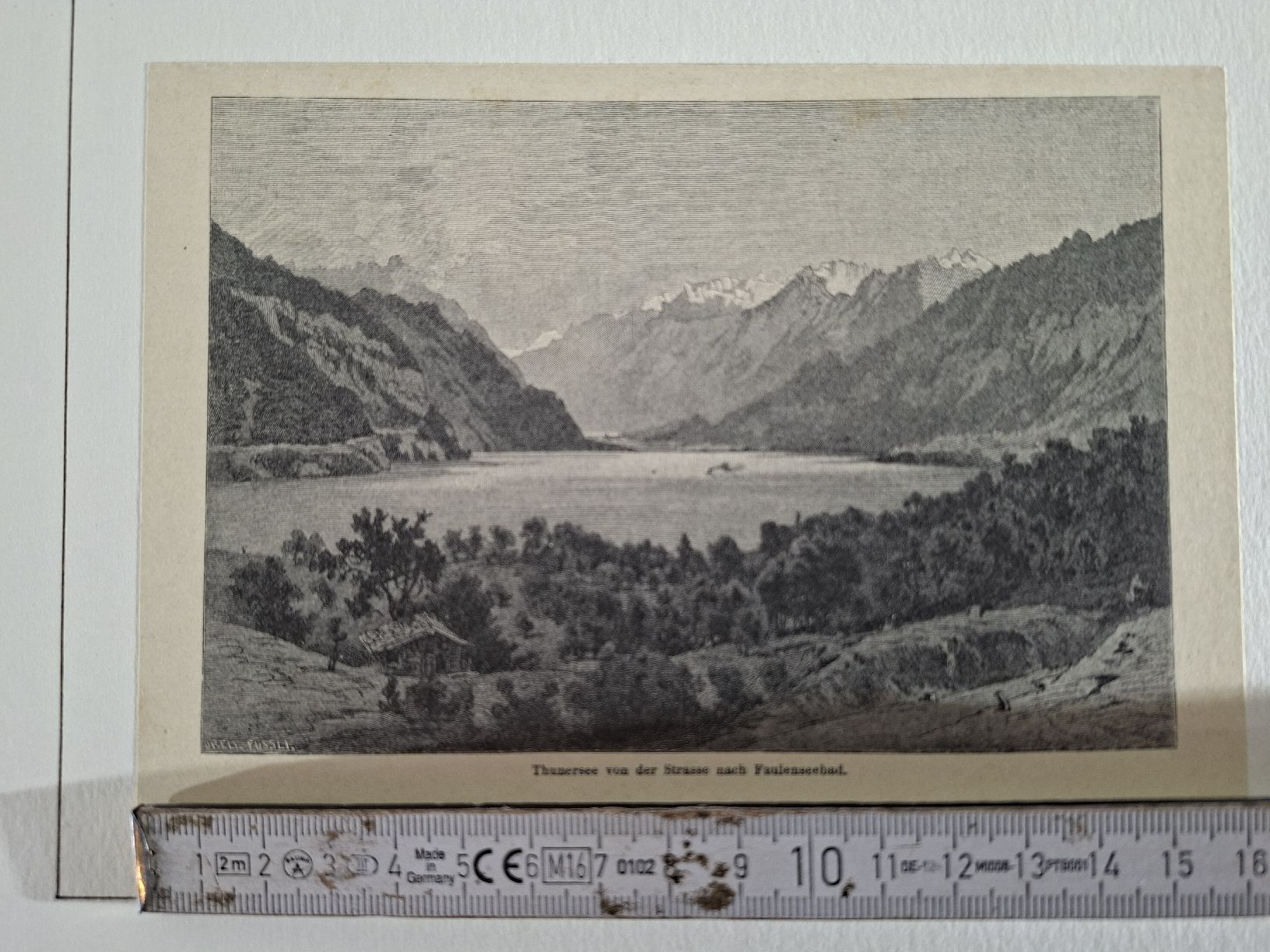 Incisioni: Lot 50 , 10 Stiche  – Usato da Grindelwald venduto da carro5 3