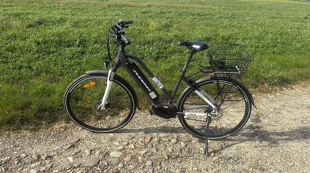 Phoenix Biciclette: Vélo électrique PHOENIX LD6.0 – Usato da Valeyres-sous-Rances venduto da stlugi