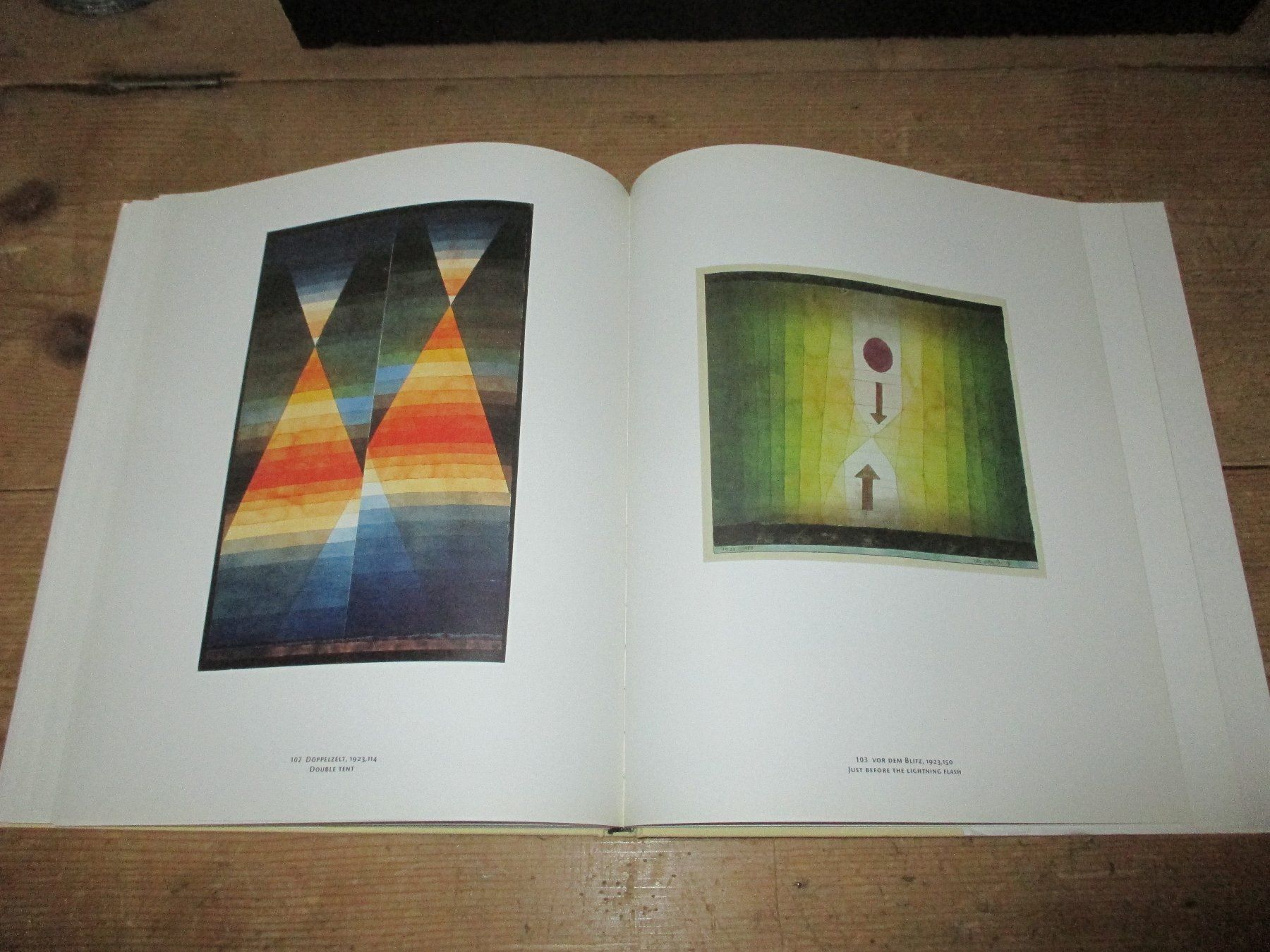 Libri: Paul Klee – Usato da Flims - Dorf venduto da Stagediver 8