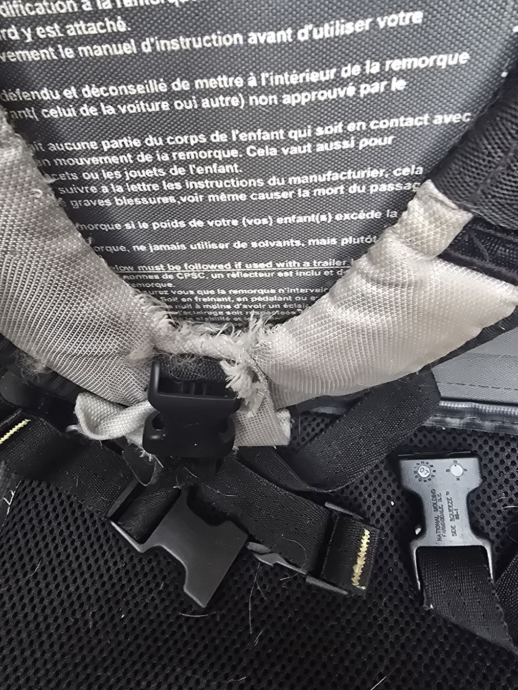 Thule Rimorchi: Veloanhänger Chariot Cougar 2  – Usato da Dübendorf venduto da jep76 4