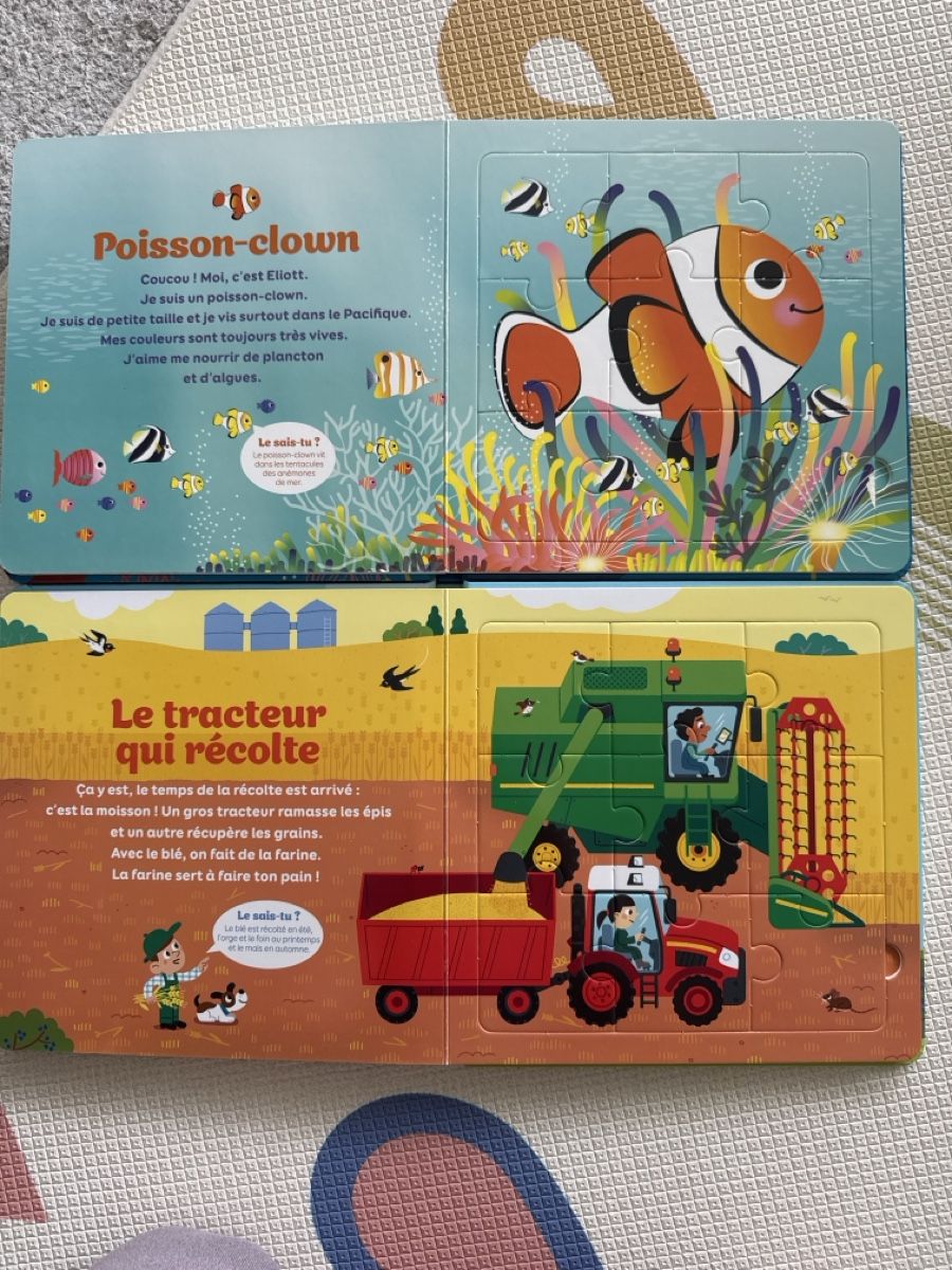 Bücher: 2 Puzzle books in French – Gebraucht aus Zug von axx3l 4