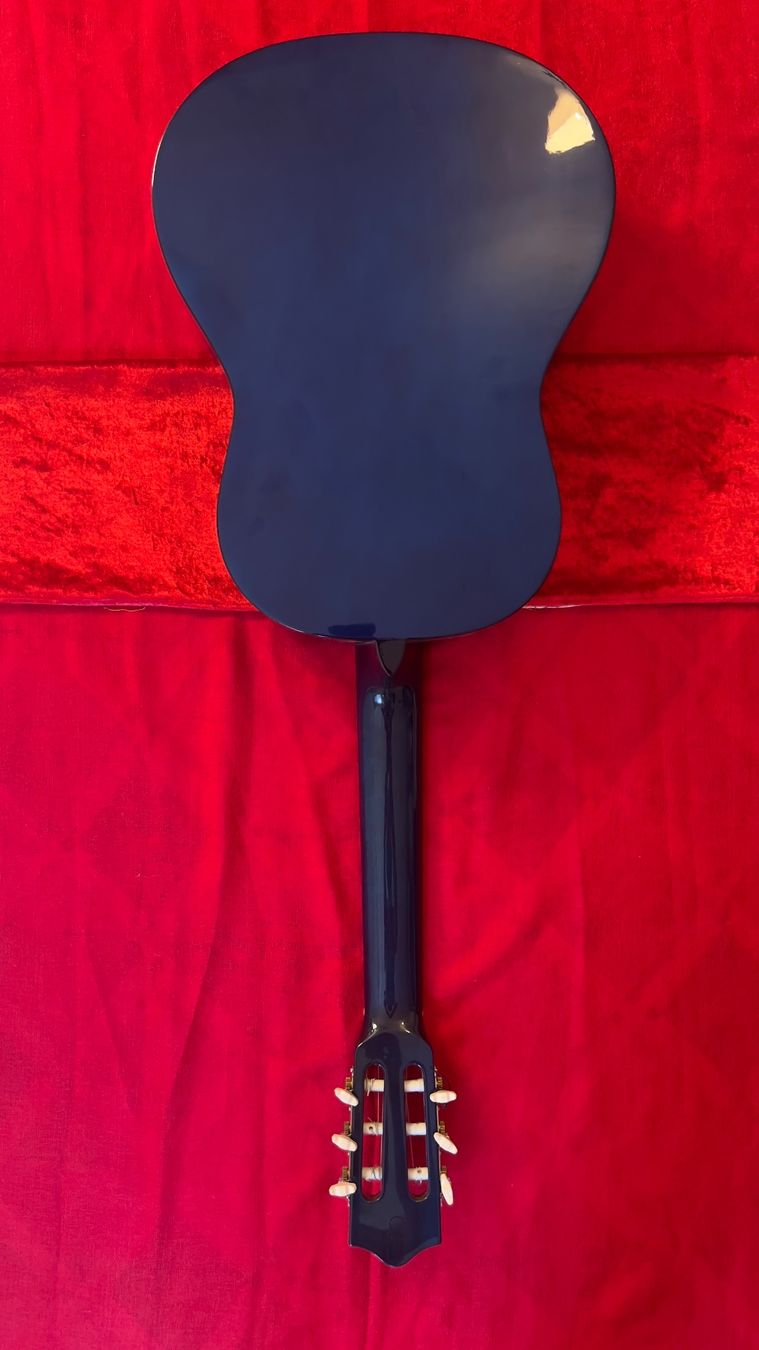 Strumenti musicali: Gitarre blau guter Zustand – Usato da Aathal-Seegräben venduto da ray_x7lz 9