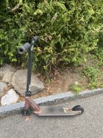 Chilli Scooter