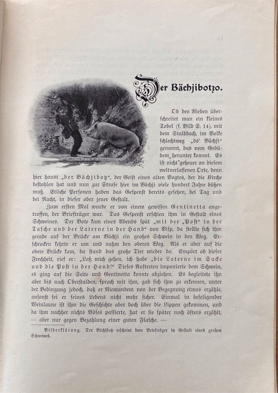 Libri: Stebler F. G., Ob den Heidenreben – Usato da Sarnen venduto da Livres 3
