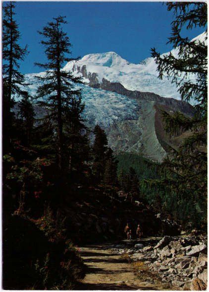 Cartoline postali: Saas Fee - Weg nach Saas Almagell – Usato da Binningen venduto da Mountainrider