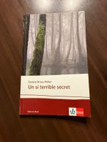 Buch Un si terrible secret Klett