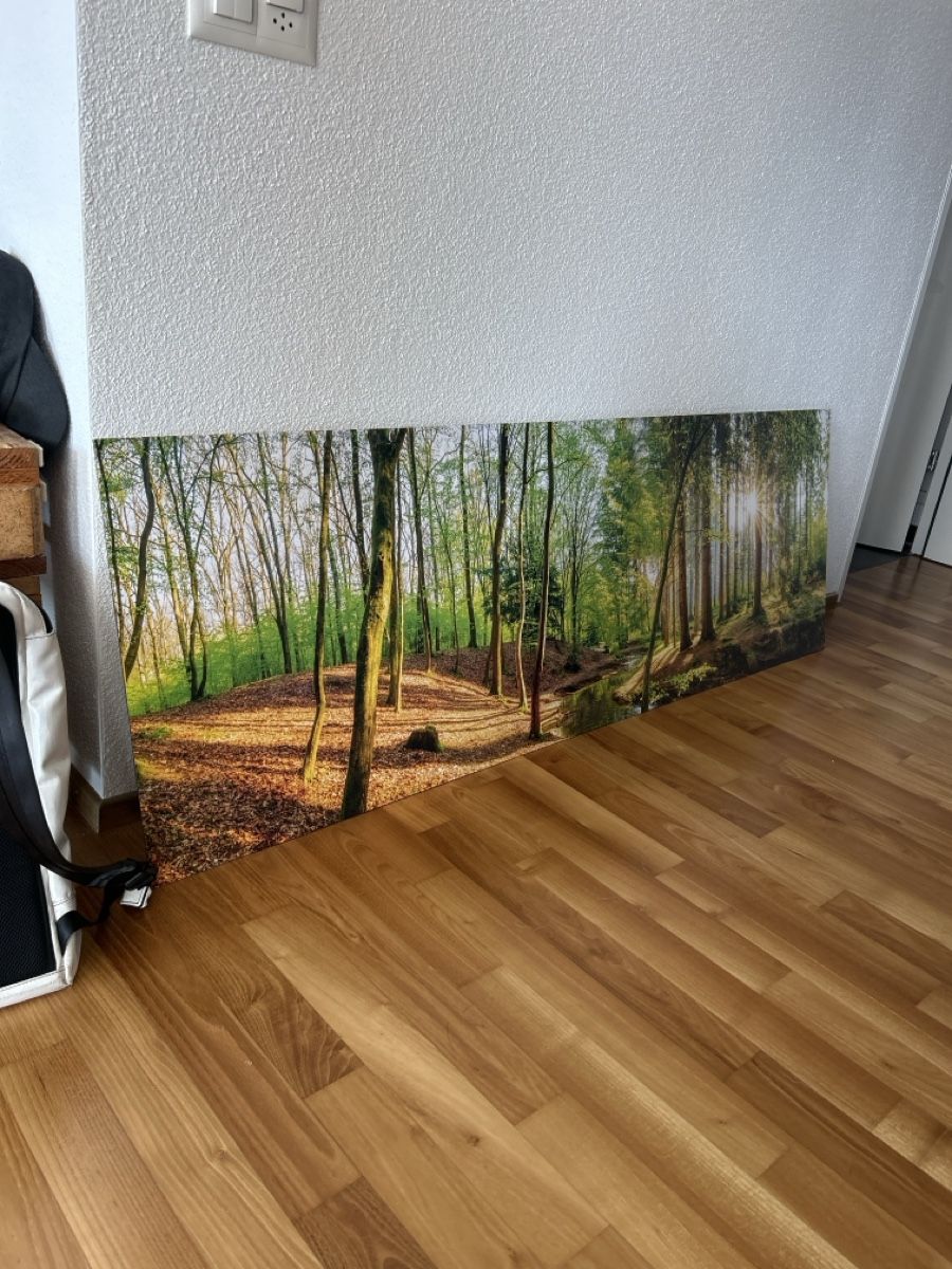 Foto & Immagini: Schönes Bild – Usato da Uster venduto da Agoets