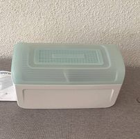 Tupperware BreadSmart Junior Brotkasten  neu