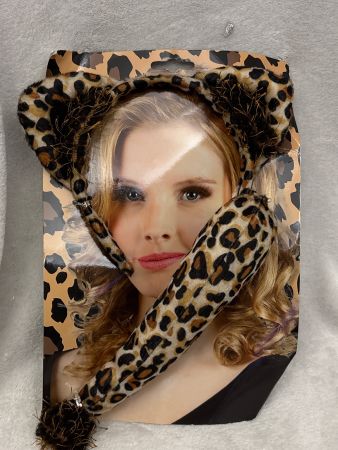 Leoparden-Set für Fasnacht: Ohren & Schwanz, neu!