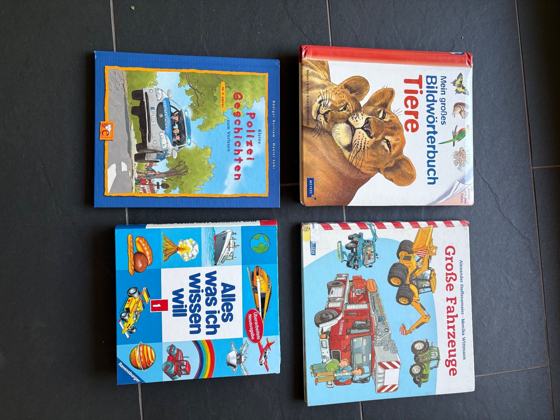 Libri: Sach-Bilderbücher für Kinder – Usato da Wetzikon ZH venduto da Youna01