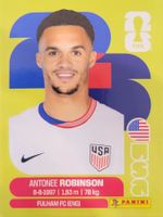 Panini FIFA World Cup USA 7