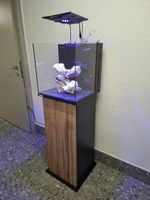 Meerwasseraquarium mit Maxspect LED Beleuchtung gebraucht