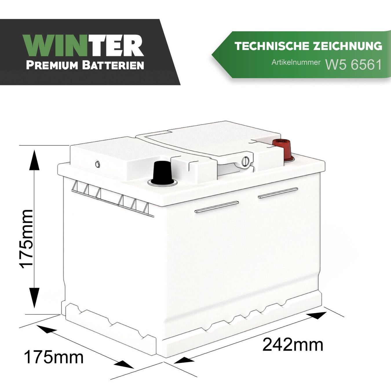 Batterie: WINTER Autobatterie 65Ah 12V – Nuovo e nell'imballaggio originale da Bottighofen venduto da zaap 3