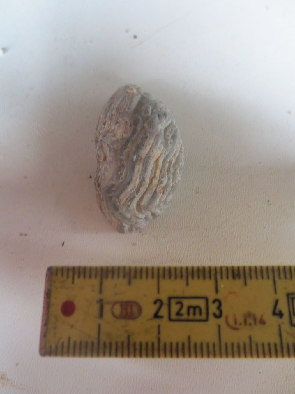 Minerali & Pietre curative: Achat Glücksgeode – Nuovo (secondo la descrizione) da Weier im Emmental venduto da waefler03 4