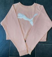Puma Sweatshirt Damen