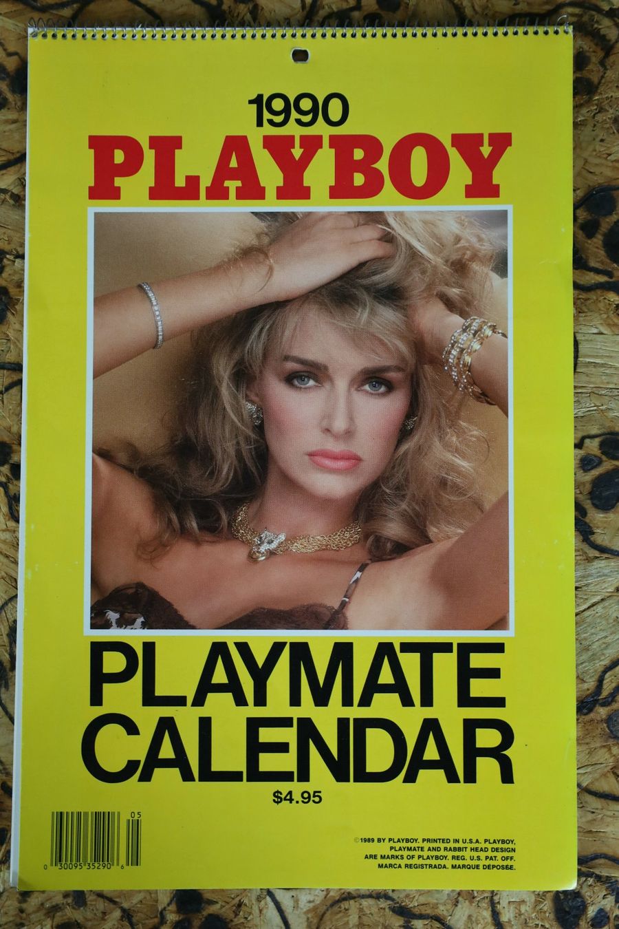 Playboy Calendari: PLAYBOY Kalender 1990 mit Erika Eleniak – Usato da Birrwil venduto da brandschatz_birrwil