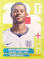 Panini FIFA World Cup ENG 19