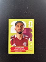 Panini QAT 8