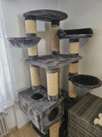 Katzenbaum von Pethomes
