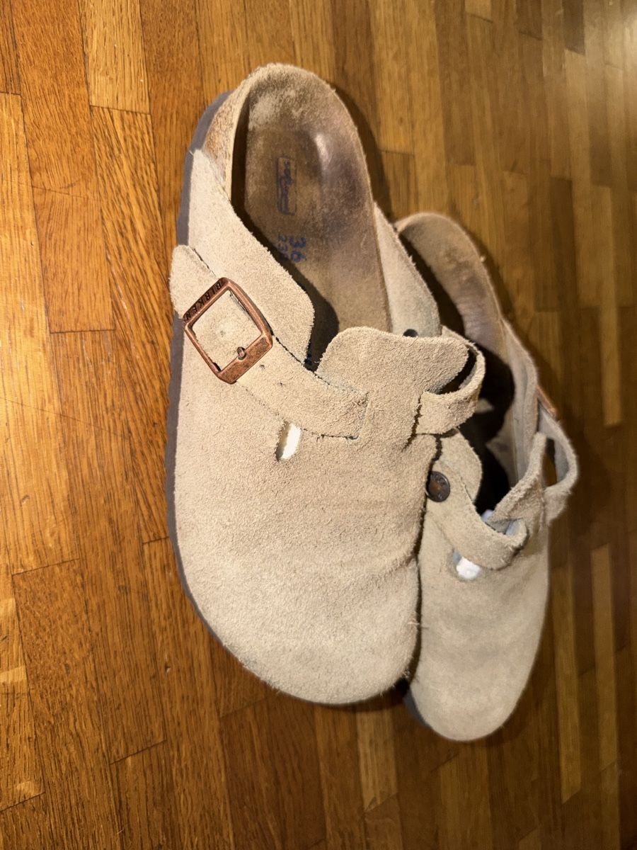 Birkenstock Herrenschuhe: Birkenstock beige Grösse 36 – Gebraucht aus Morgarten von elabaumann_ch 6