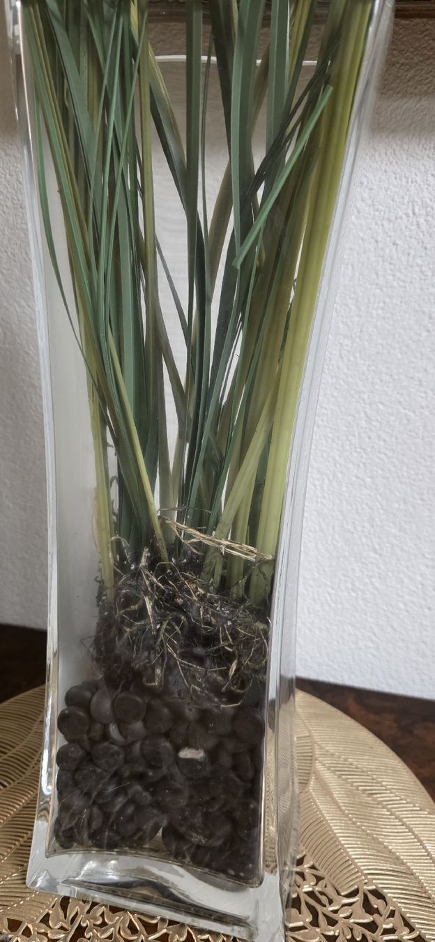 Tutte le decorazioni: Glasvase, Dekosteine, Kunstblumen – Usato da Kaufdorf venduto da Nati-Nati 1
