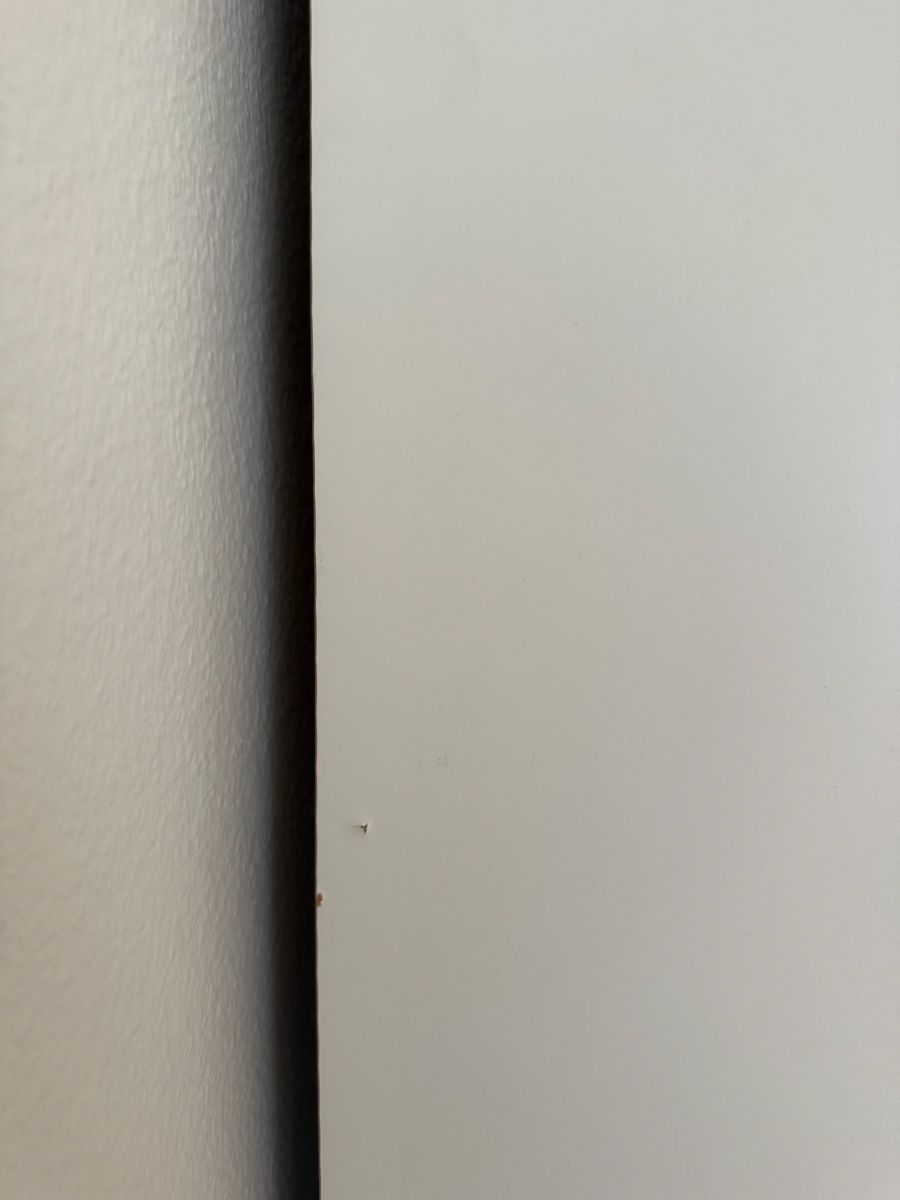 Schränke: Kleiderschrank – Gebraucht aus Auw von rosee_ 5