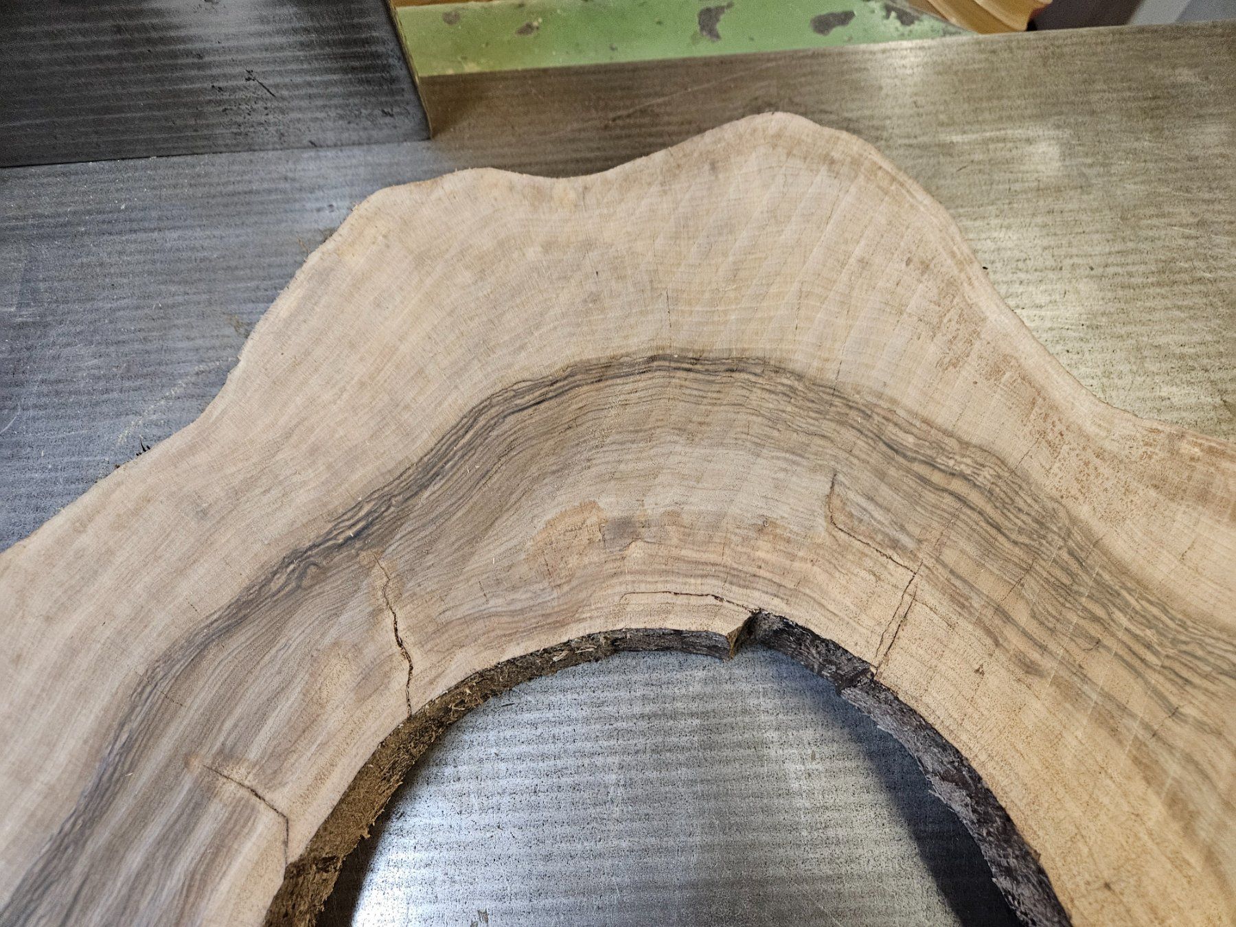 Articoli in legno: Nussbaum Holz Baumscheibe – Nuovo (secondo la descrizione) da Schangnau venduto da egli6.2 9