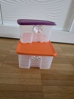 Tupperware Kühlschrank-Frischhaltedosen Set, Top Zustand