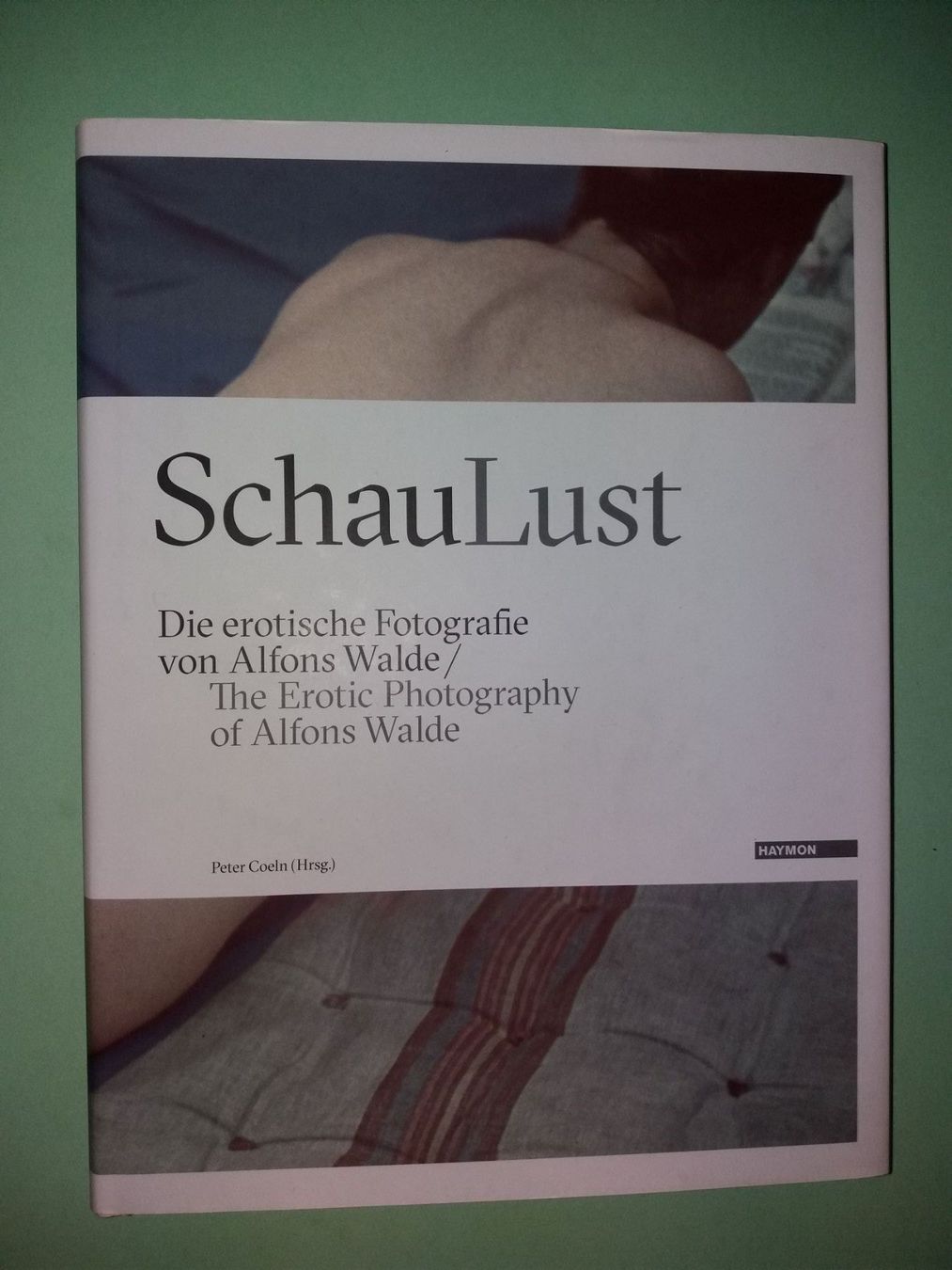 Bücher: Schaulust ALFONS Walde gesucht – Gebraucht aus Welschenrohr von Regool 9