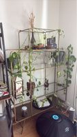 Metal shelf unit gold coloured acceptable condition