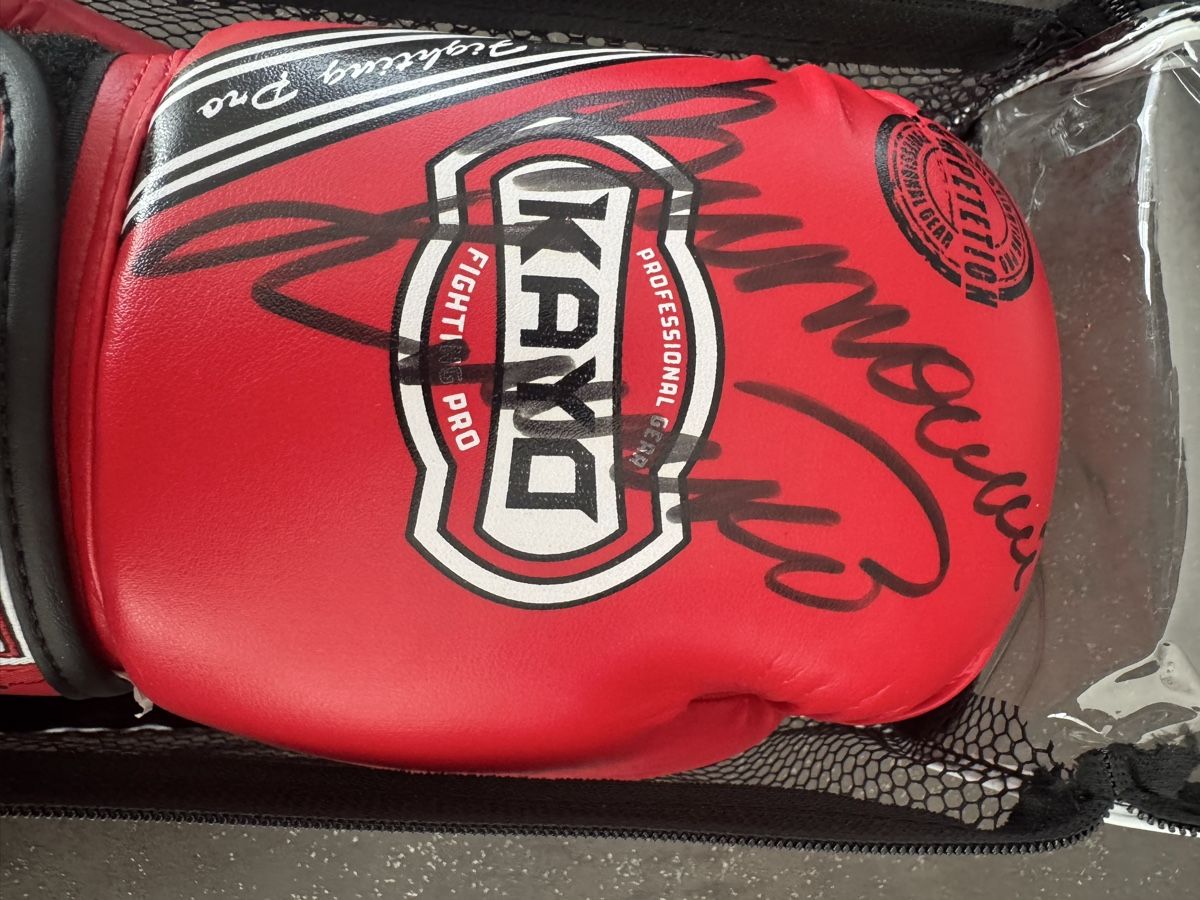 Altri accessori da uomo: Boxing Handschuhe – Nuovo e nell'imballaggio originale da Wil SG venduto da inn_9tbd
