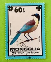 Briefmarken aus Mongolei Geschützte Vögel gestempelt 