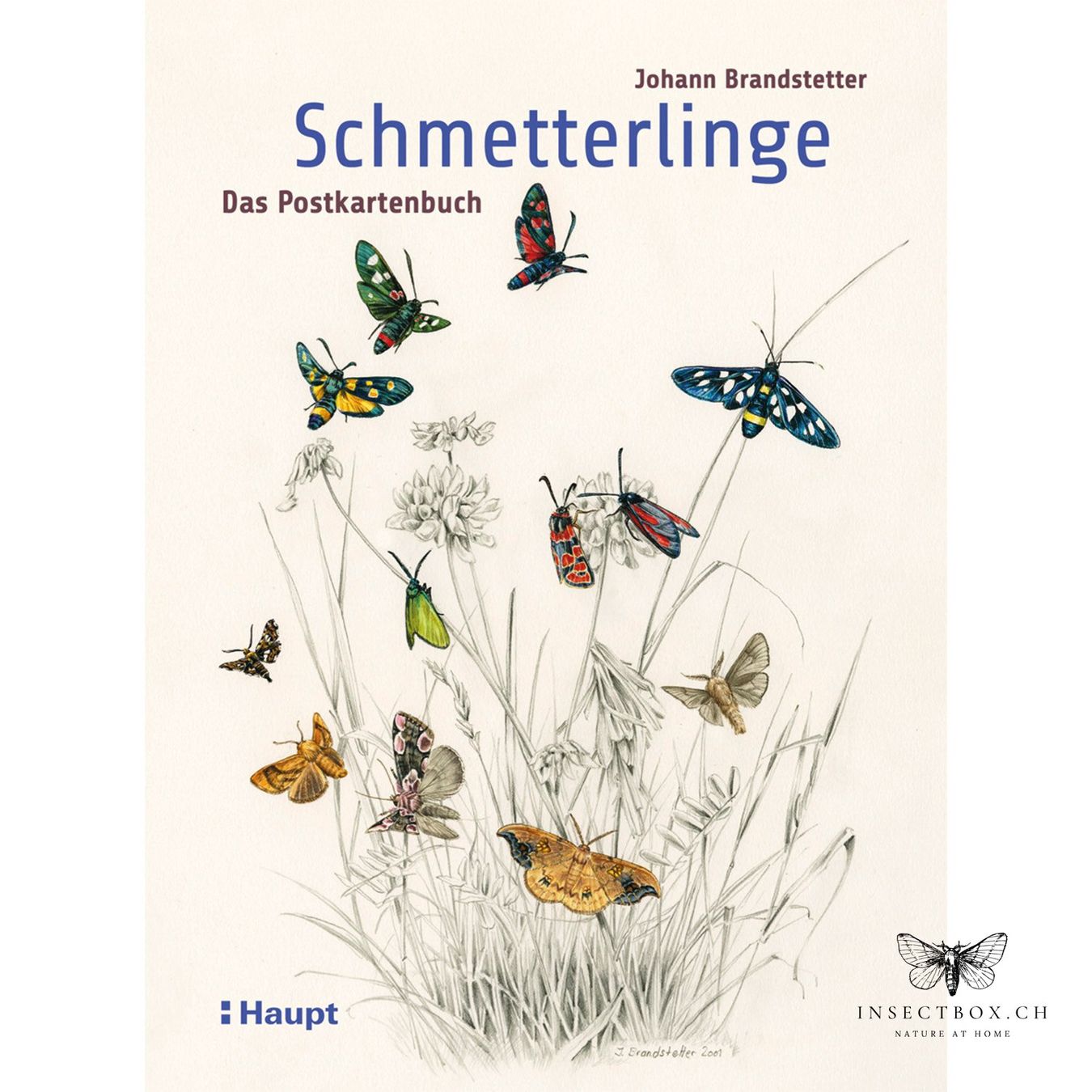 Ansichtskarten: Schmetterlinge - Das Postkartenbuch – Neu und originalverpackt aus Ostermundigen von CarmineHome