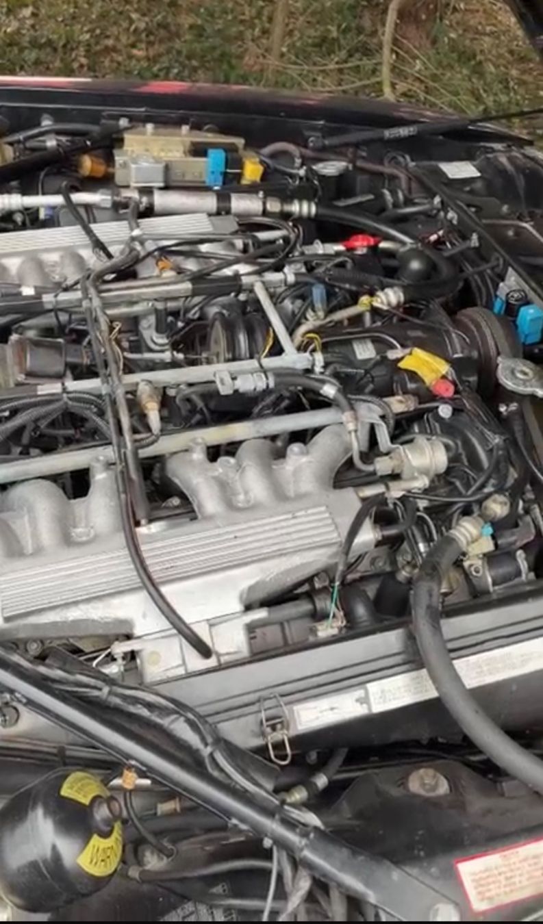 Jaguar Automobili: Jaguar XJS 5.3 V12 Cabrio 1990 mit Serviceheft – Usato da Schwyz venduto da Dreew 1