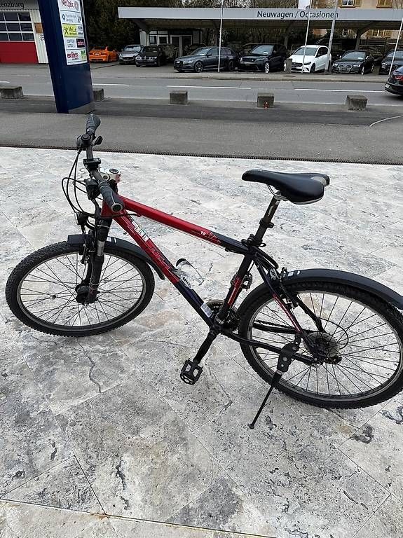 Biciclette: Vélo Wheeler  – Usato da Hunzenschwil venduto da dpavespa 1
