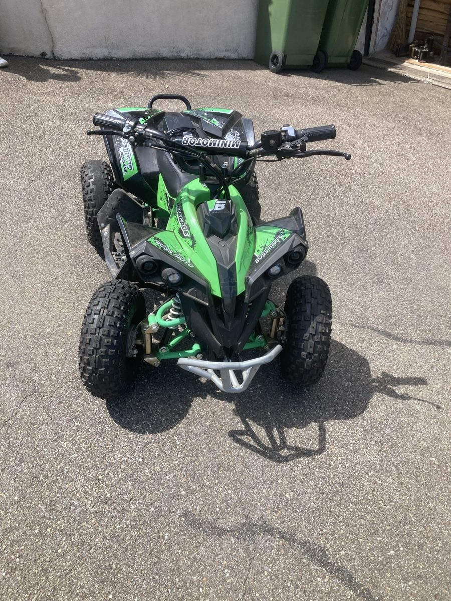 Mini Quad: Elektroquad Atv 48V 1200 W Kinderquad – Usato da Wetzikon ZH venduto da Rescanv6