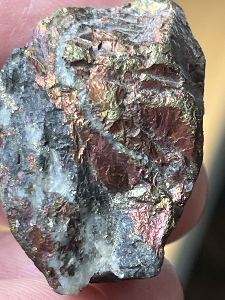 Mineralien & Heilsteine: Top! Bornite „Bezeichnung Buntkupferkies“ aus Nevada, USA – Gebraucht aus Uster von Arrayo 7